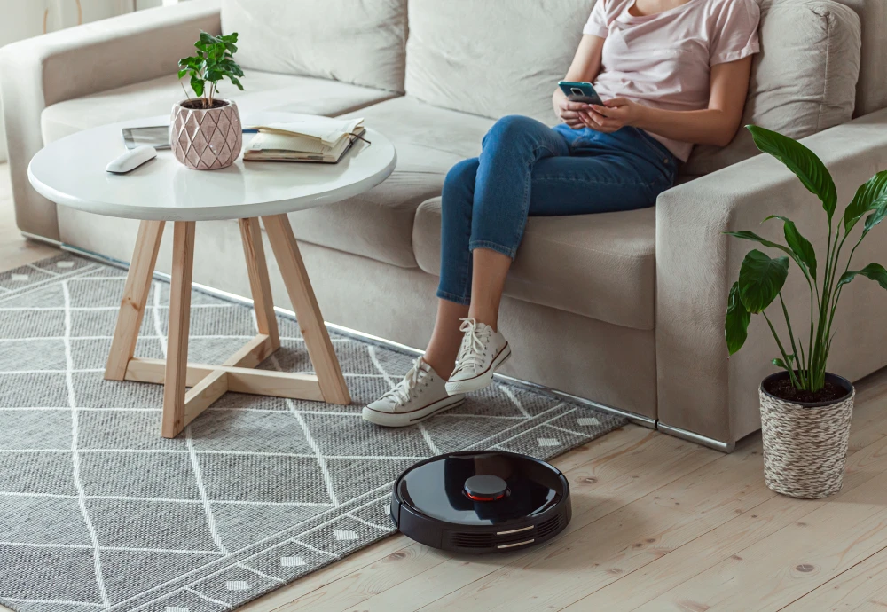 sweeping robot intelligent vacuum cleaner